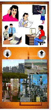 Bolsa de Trabajo